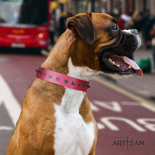 Boxer natural genuine leather collar with reliable fittings for fancy walking