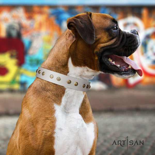 Boxer incredible genuine leather collar with rust resistant hardware