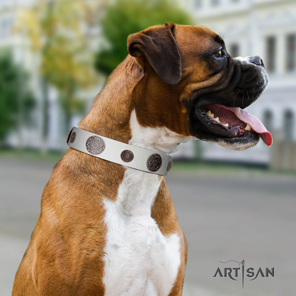 Boxer significant genuine leather dog collar for stylish walking