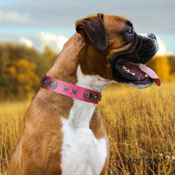Boxer full grain genuine leather collar with strong fittings for fancy walking
