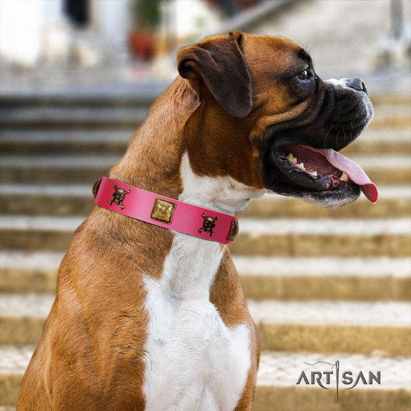 Boxer stylish design full grain leather dog collar for stylish walking