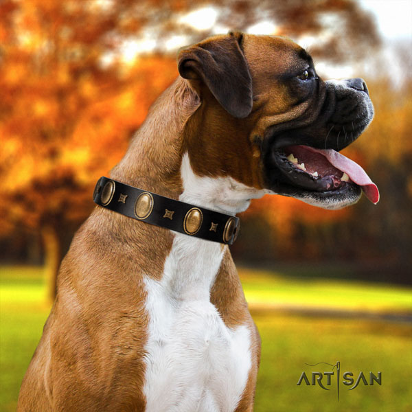 Boxer stylish genuine leather dog collar for everyday walking