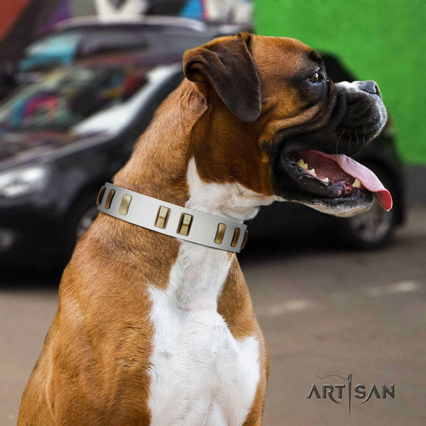 Boxer trendy leather dog collar for daily use