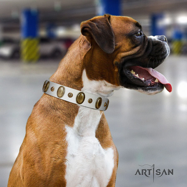 Boxer studded genuine leather dog collar for everyday walking