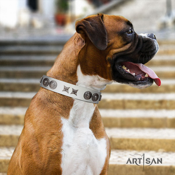 Boxer full grain genuine leather collar with strong hardware for daily use