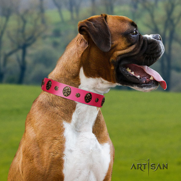 Boxer awesome full grain leather dog collar for daily walking