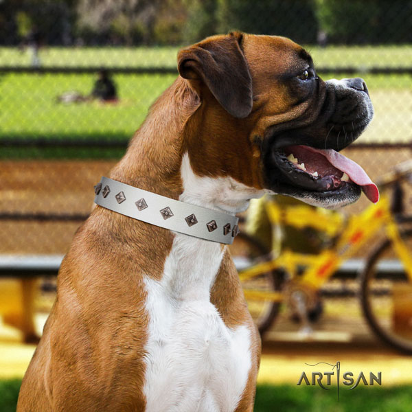 Boxer full grain genuine leather collar with corrosion proof D-ring for comfortable wearing