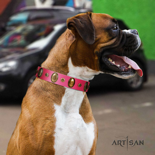 Boxer easy adjustable full grain genuine leather dog collar for fancy walking