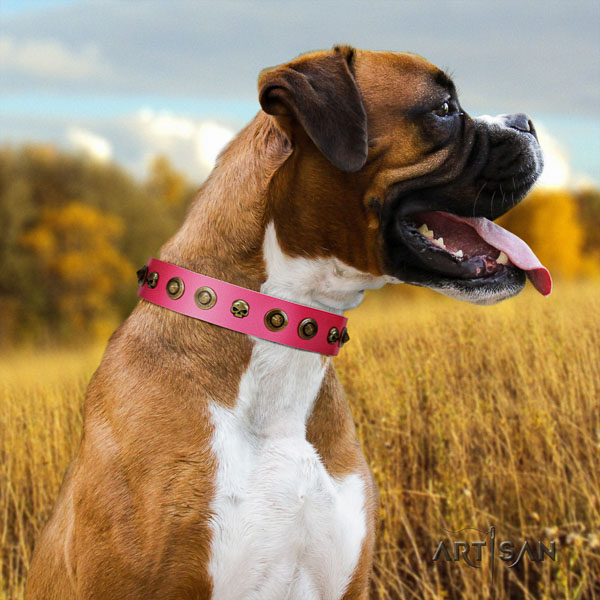 Boxer easy wearing full grain leather dog collar for walking