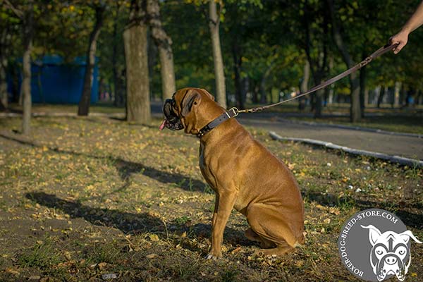 Boxer leather collar of high quality with handset decoration for walking