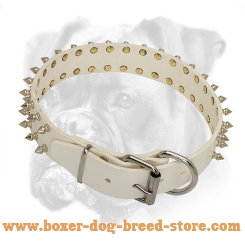 Fancy white Leather Collar