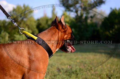 Awesome collar for walking and training