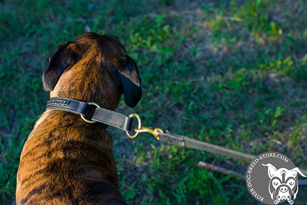 Trendy Boxer choke collar with brass O-rings