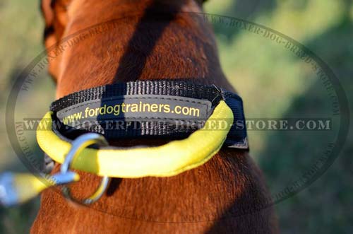 Excellent nylon collar for stubborn Boxer