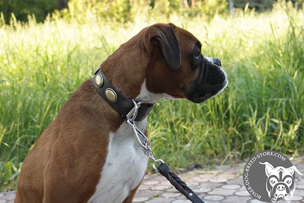 Adorned leather Boxer collar with ovals