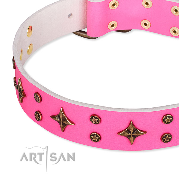 Full grain natural leather dog collar with remarkable studs