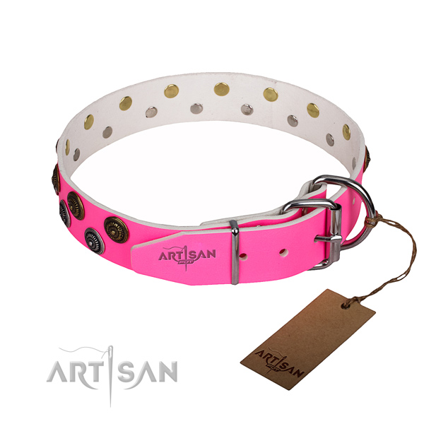Everyday walking full grain natural leather collar with decorations for your canine