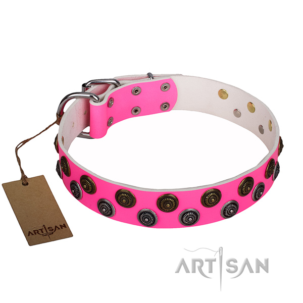 Awesome full grain leather dog collar for everyday walking