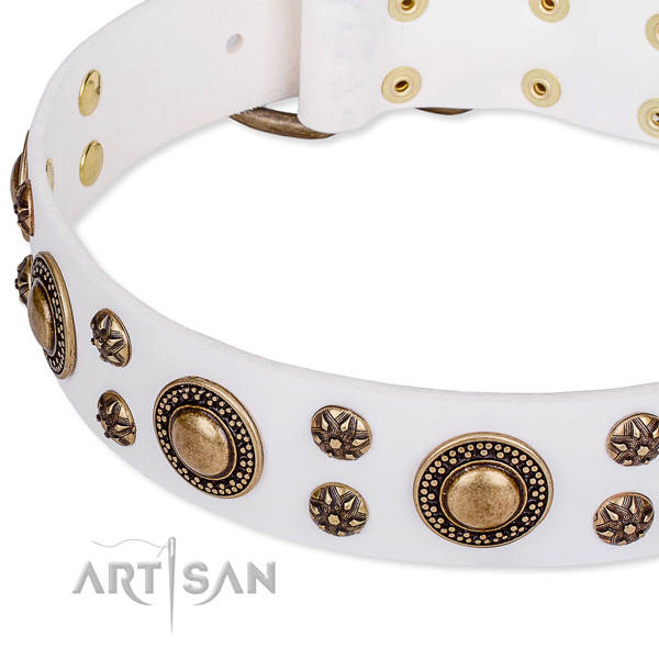 Natural genuine leather dog collar with awesome embellishments