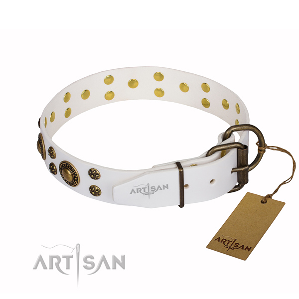 Impressive full grain leather dog collar for stylish walking