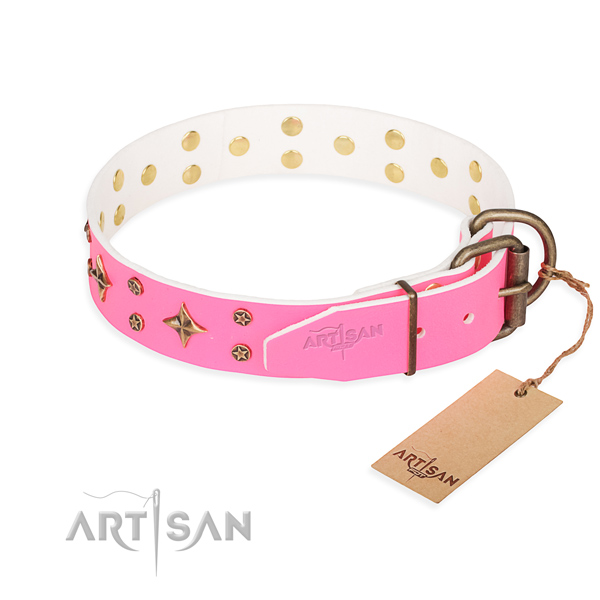 Walking full grain leather collar with decorations for your four-legged friend
