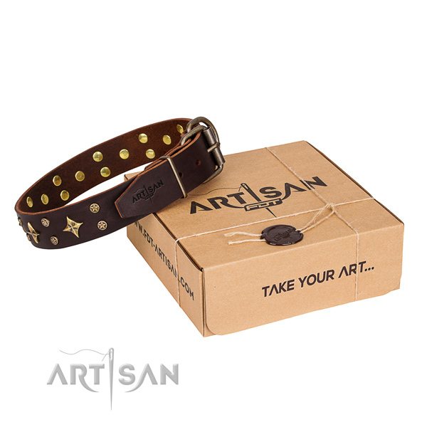 Embellished full grain genuine leather dog collar for daily walking