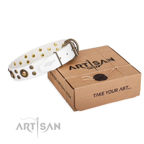 Full grain natural leather dog collar with studs for everyday walking