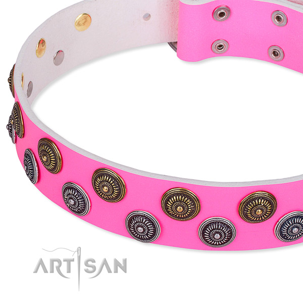 Full grain leather dog collar with trendy adornments