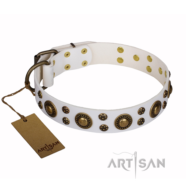 Daily use genuine leather collar with studs for your pet