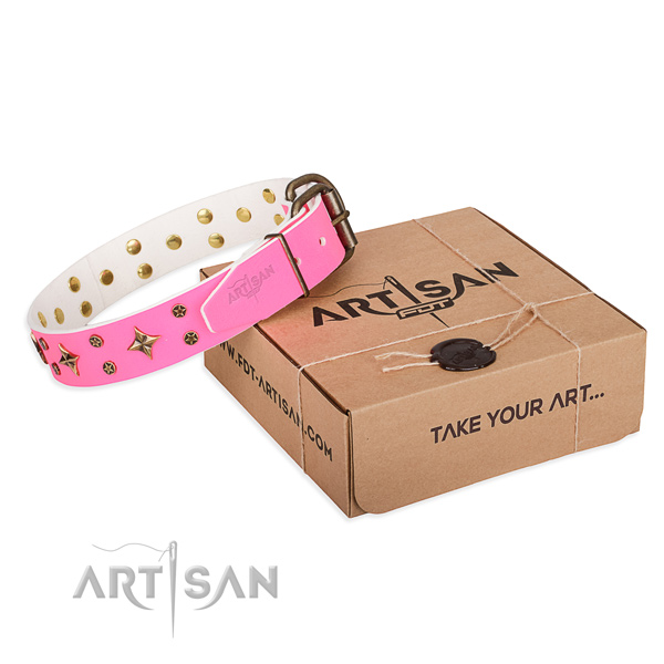 Studded full grain leather dog collar for everyday use