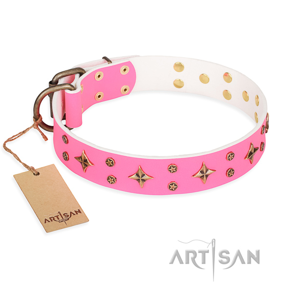 Significant genuine leather dog collar for everyday use