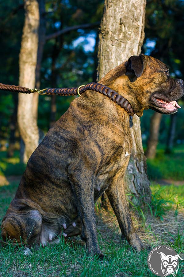 Braided Boxer choke collar with brass O-rings