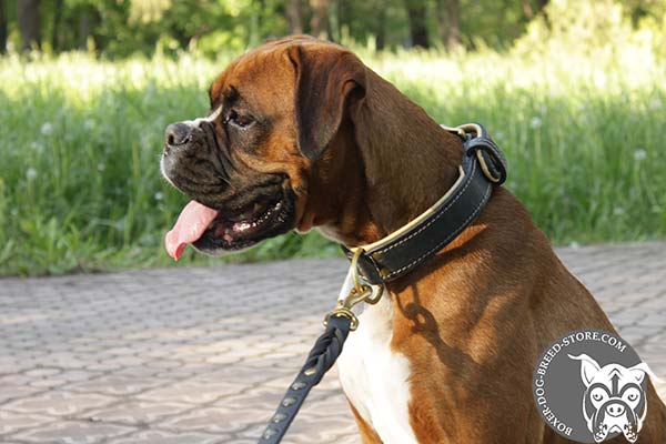 Nappa padded Boxer collar