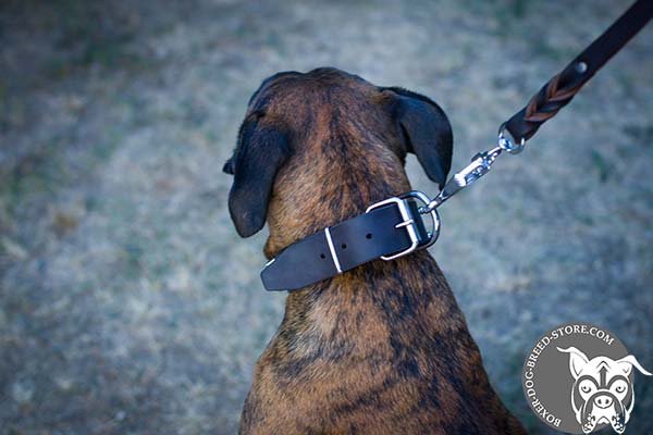 Easy adjustable leather Boxer collar