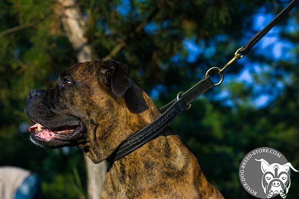 Braided leather Boxer collar