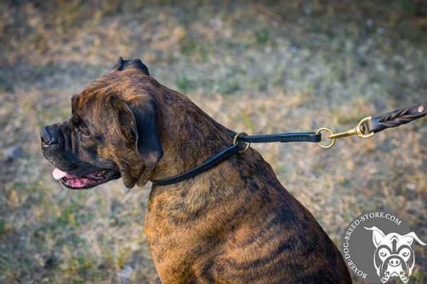 Genuine leather Boxer collar with choking effect