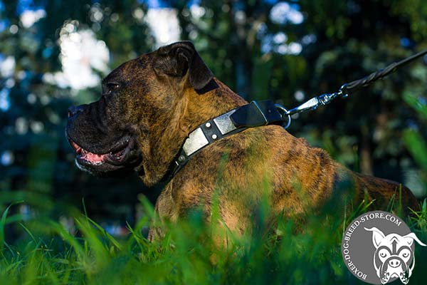 Comfortable Boxer collar made of leather