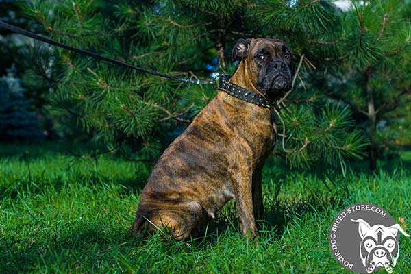 Stylish designer leather Boxer collar