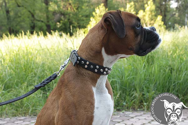 Designer Boxer collar with symmetrically arranged pyramids