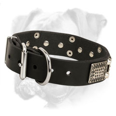 Luxury decorated leather collar with nickel hardware for Boxer
