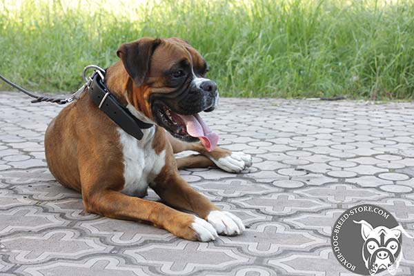 Pleasant to wear Boxer collar