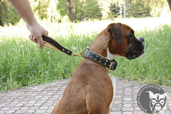 Leather Boxer collar with two rows of spikes