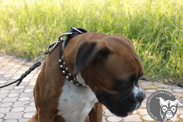 Extra strong leather Boxer collar