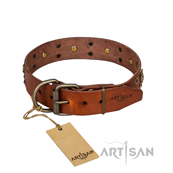 Leather dog collar with polished edges for comfy strolling