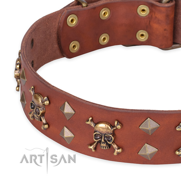 Daily leather dog collar with exciting decorations