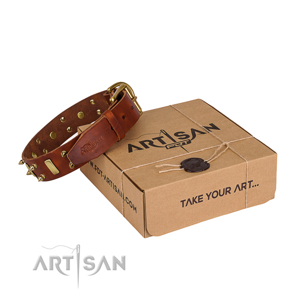 Casual style leather dog collar with fashionable studs