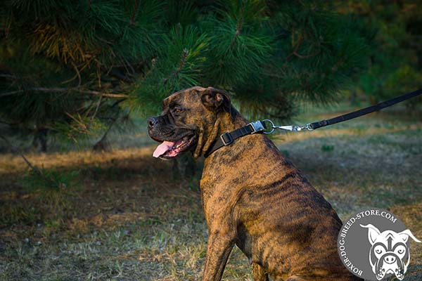 Easy adjustable Boxer collar for walking