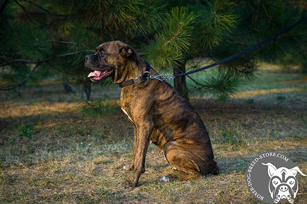 Flexible nylon collar for Boxer