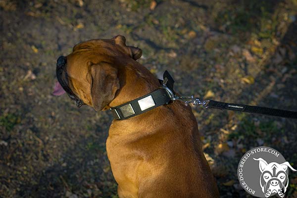 Nylon Boxer collar with nickel plated adornment