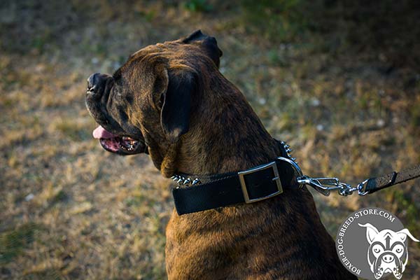 Practical nylon Boxer collar with traditional buckle